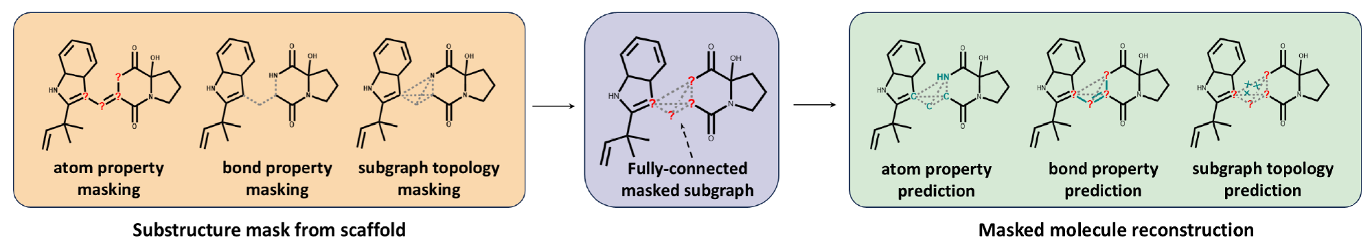 Figure 1 B. Details of scaffold-subgraph reconstruction. First, a subgraph is randomly selected from the scaffold, consisting of multiple atoms and chemical bonds. In the subgraph, both node and edge attributes are masked, and all nodes within the subgraph are fully connected (i.e., expanded into a fully connected graph), thereby masking the topological information. During the reconstruction process, the model needs to predict both node and edge attributes, while also distinguishing between real edges and those artificially added virtual edges. source: (Ding et al. 2025) CC-BY 4.0