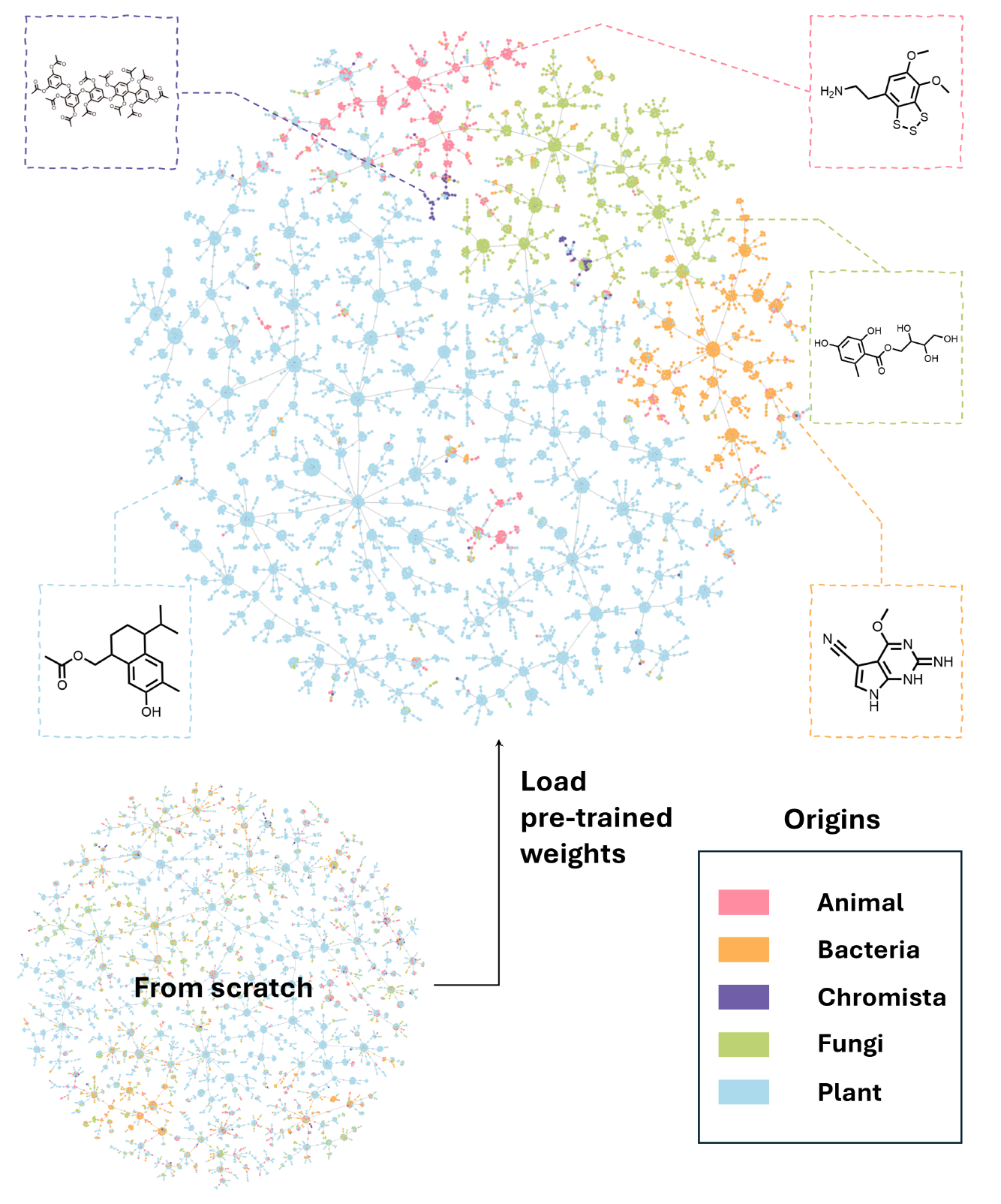 Figure 3. The obtained representations are projected into two dimensions using TMAP and visualized with Faerun. For each biological source, a representative example is highlighted in a designated box, showcasing a characteristic scaffold that typifies compounds derived from that particular source. source: (Ding et al. 2025) CC-BY 4.0